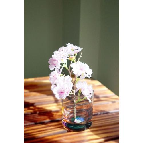 サザンオールスターズ LIVE TOUR 2025 「THANK YOU SO MUCH!!」 ［2DVD