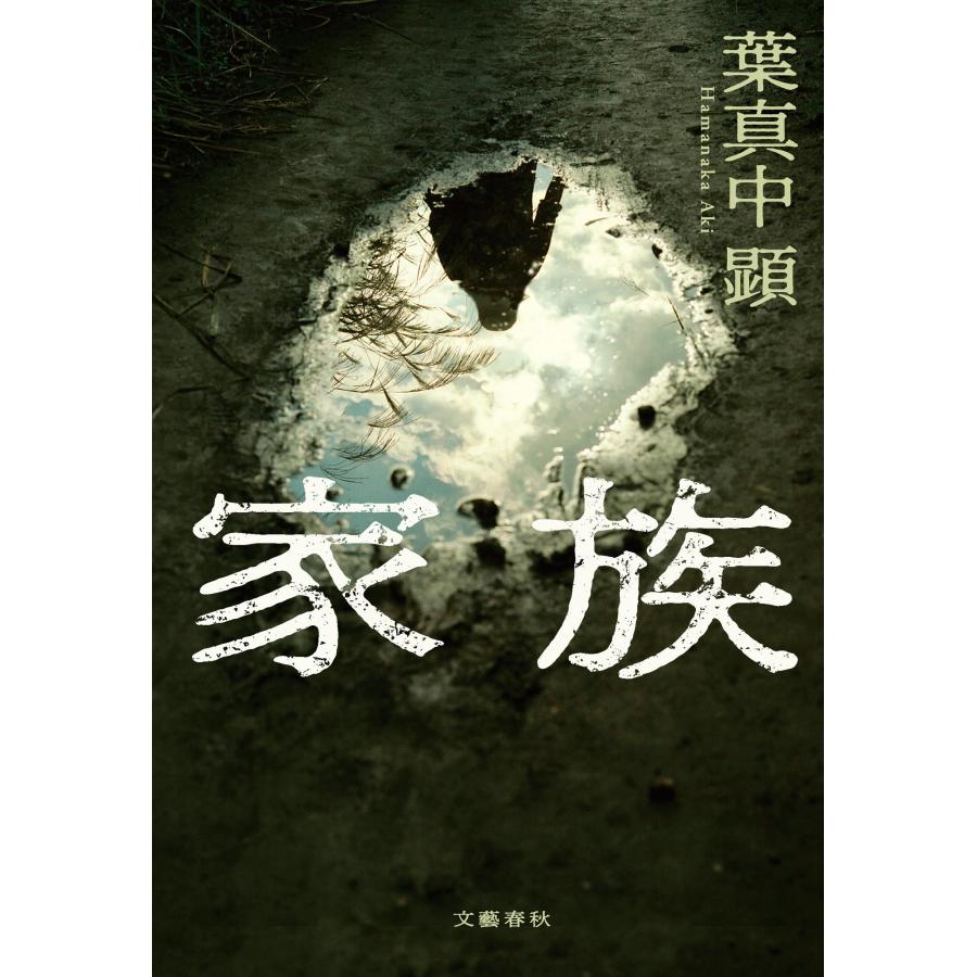 葉真中顕 家族 Book |  | 01