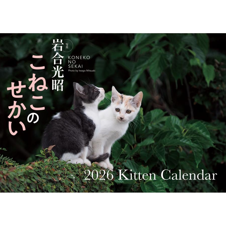 岩合光昭 【S17】 こねこのせかい 2026 Kitten Calendar Book