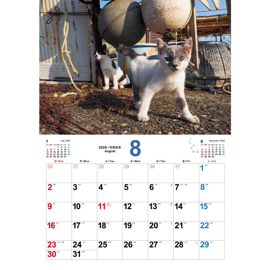 こねこ 岩合光昭 【S17】 こねこのせかい 2026 Kitten Calendar Book