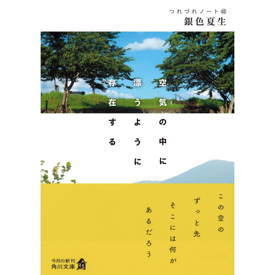 銀色夏生 空気の中に漂うように存在する つれづれノート48 (48) Book |  | 01
