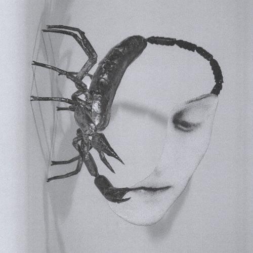 Tortoise Touch CD | 