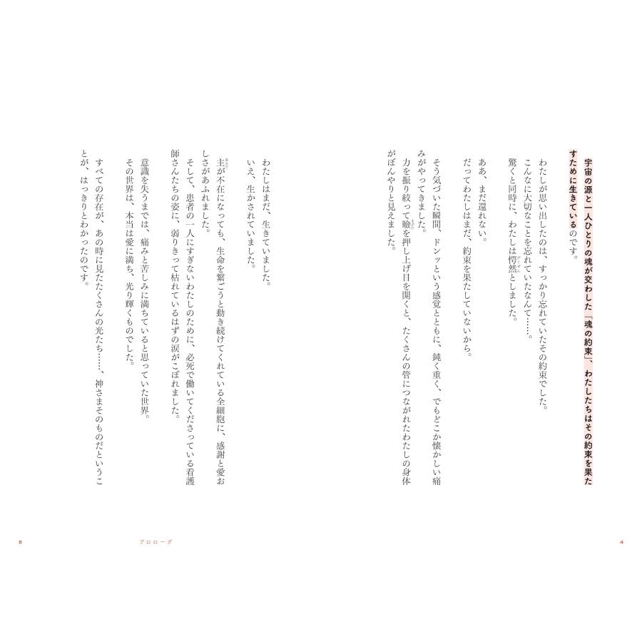 山内尚子 神さまライフ あなたの人生を美しくする魔法 Book |  | 04
