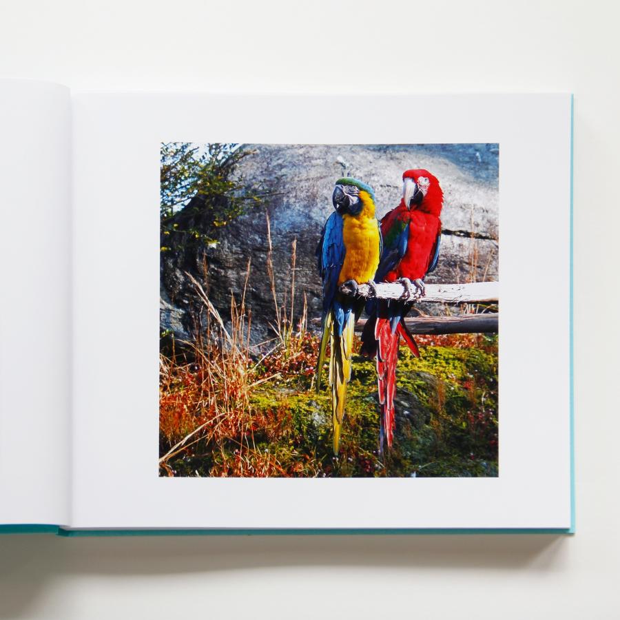 千田貴子 記憶の小箱 2011?2024 Book |  | 02