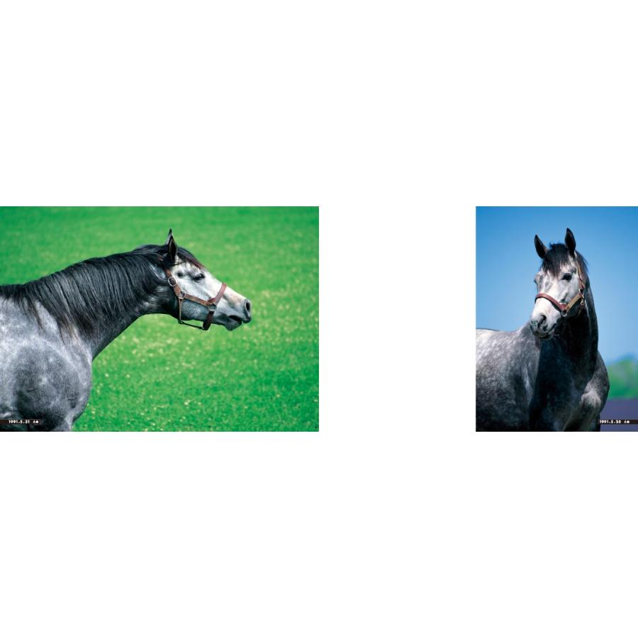 内藤律子 白の時間 復刻版 名馬オグリキャップ引退後二十年の日々 Book