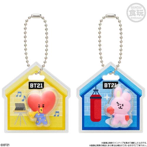 BT21 パッケージチャーム&チョコボーロ(10個入りBOX-SET) Accessories