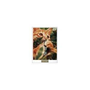 子猫物語 DVD | 
