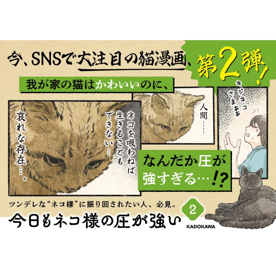 うぐいす歌子 今日もネコ様の圧が強い2 (2) Book |  | 02