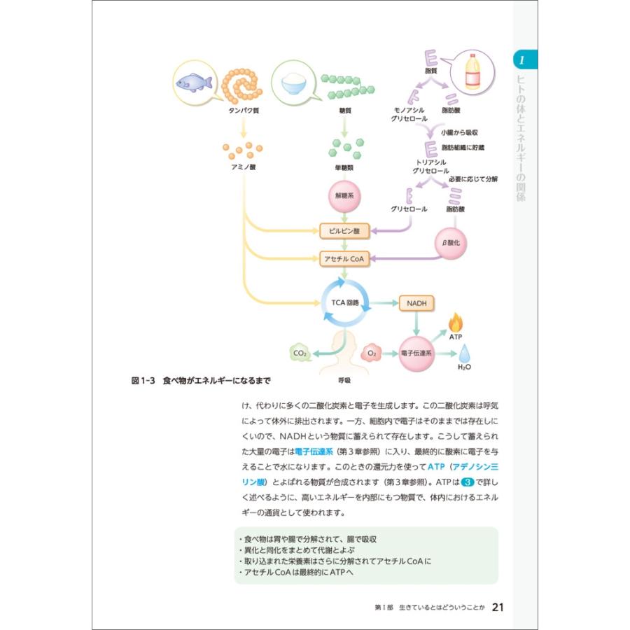 吉村成弘 大学で学ぶ 身近な生物学 第2版 Book |  | 02