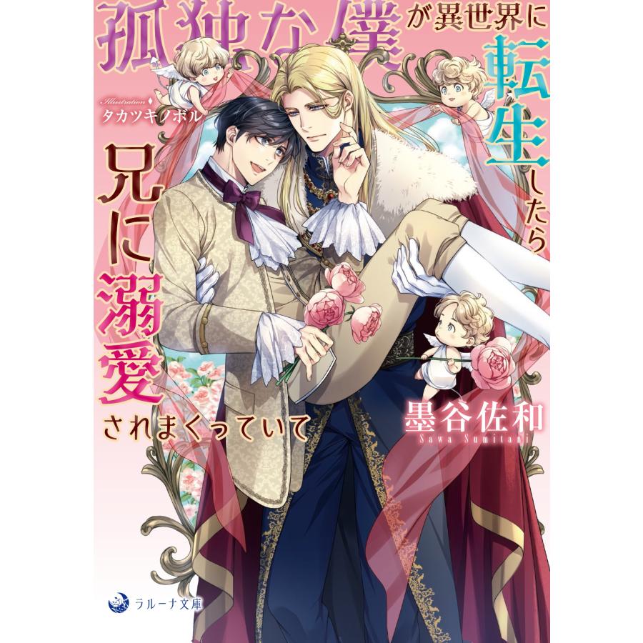 墨谷佐和 孤独な僕が異世界に転生したら兄に溺愛されまくっていて Book | 