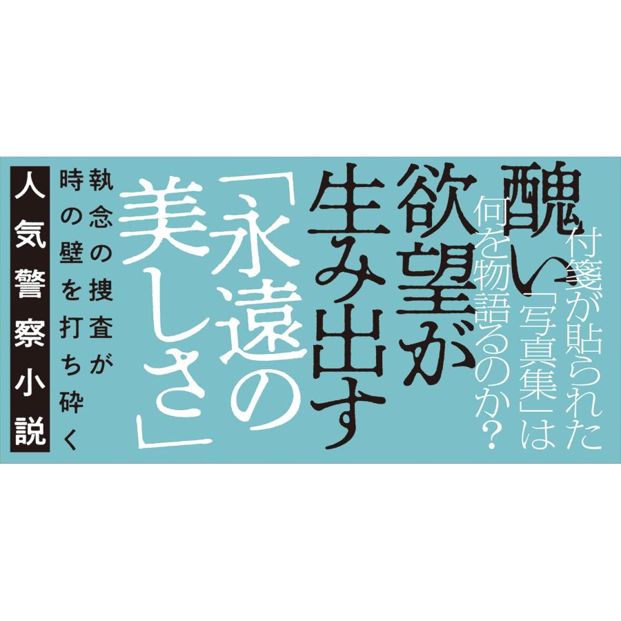 麻見和史 凍結事案捜査班 時の氷解 Book |  | 02