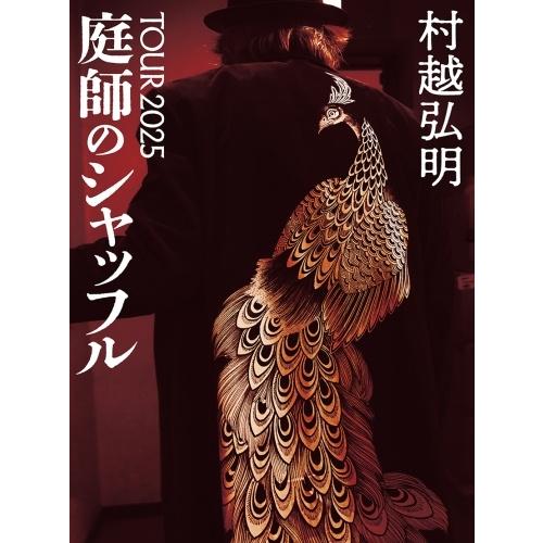 The SEED Narumi ソロアルバム タワレコ限定フォトブック付き 廃盤 The SEED Narumi ソロアルバム タワレコ限定フォトブック付き 廃盤