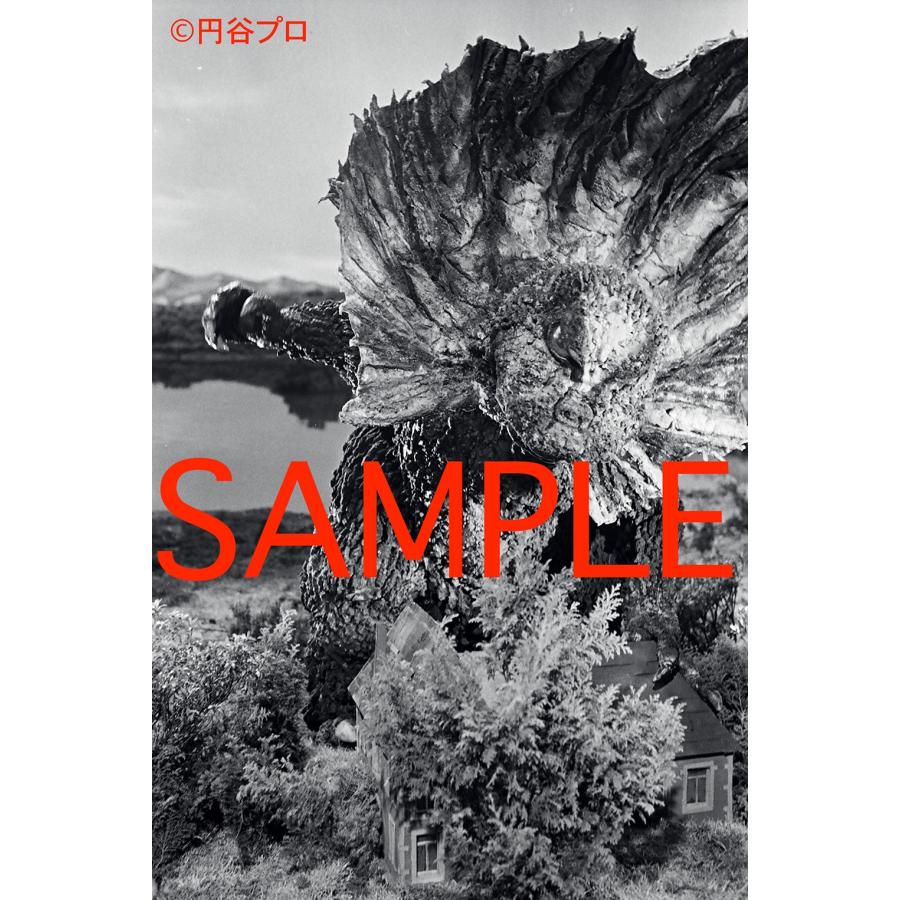 円谷プロダクション ウルトラマン 怪獣スチール写真アーカイヴス Book