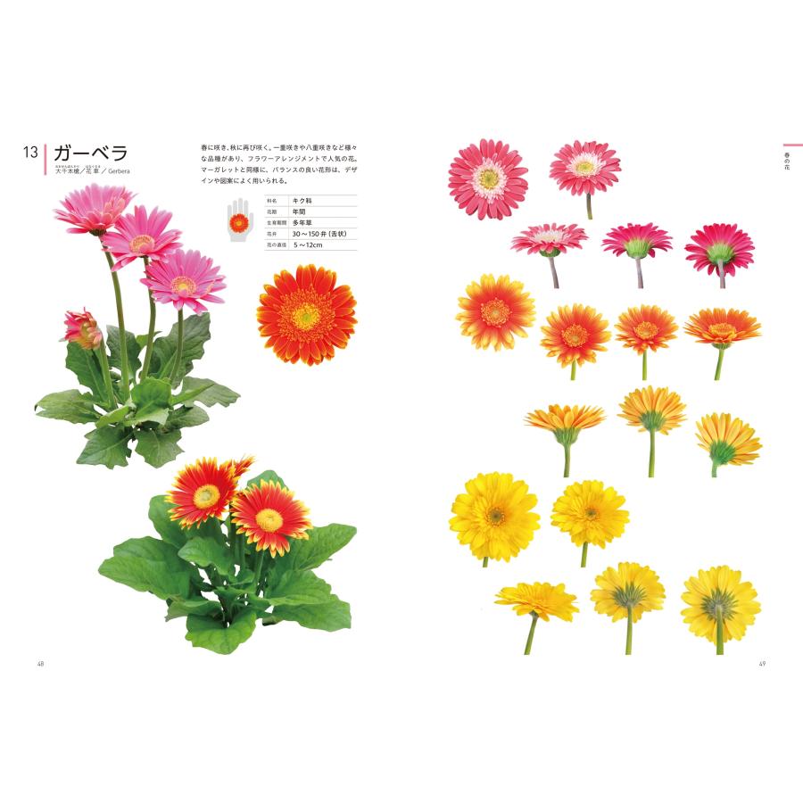 江見敏宏 クリエイターのための花図鑑 デザイン・イラスト・クラフトなどに役立つ Book |  | 03