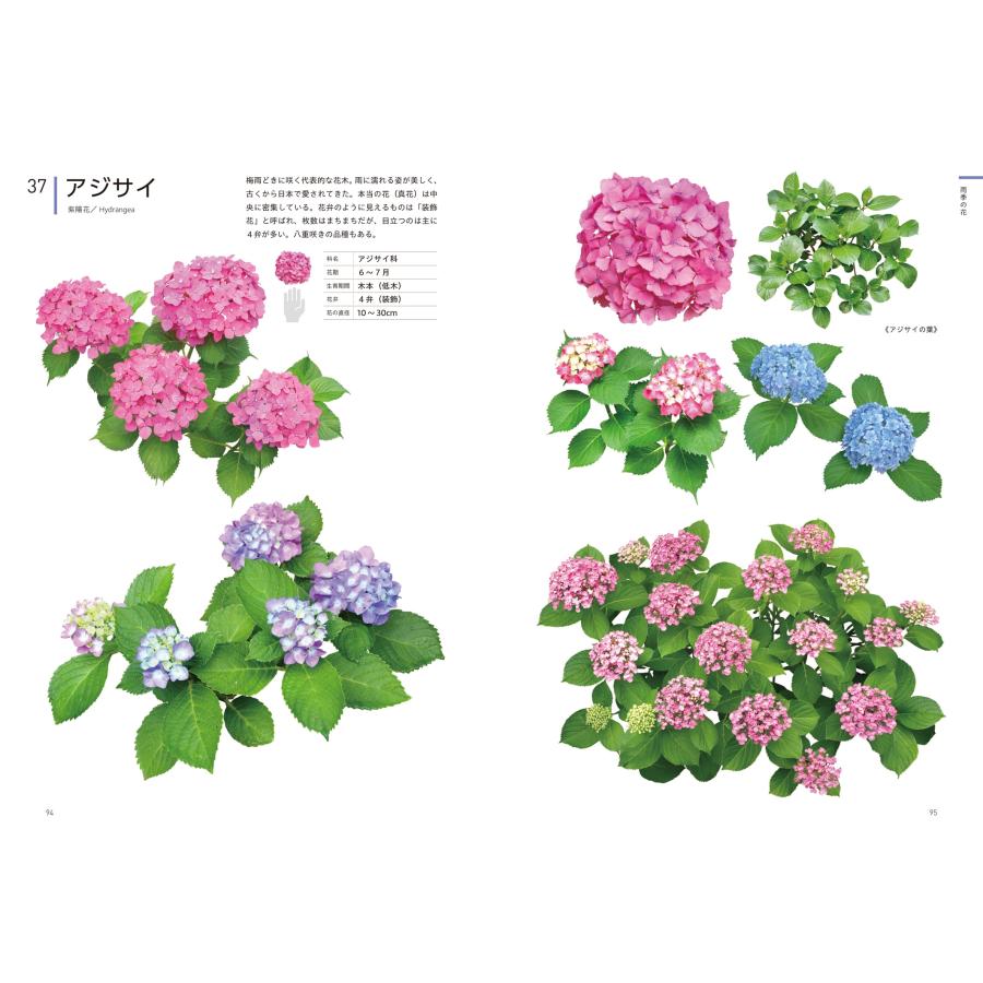 江見敏宏 クリエイターのための花図鑑 デザイン・イラスト・クラフトなどに役立つ Book |  | 04