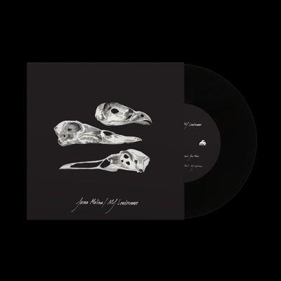 Jason Molina The Last Three Human Words (Demo) / Just Be Simple 7inch Single | 