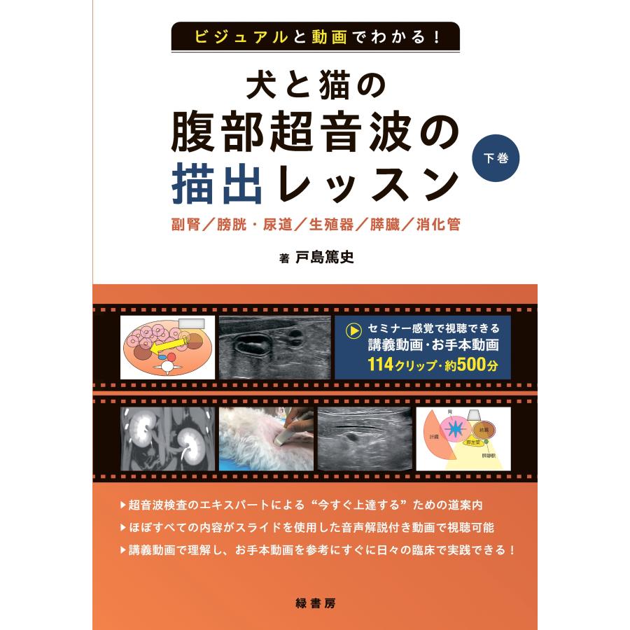 戸島篤史 ビジュアルと動画でわかる! 犬と猫の腹部超音波の描出レッスン 下巻 副腎/膀胱・尿道/生殖器/膵臓/消化管 Book | 