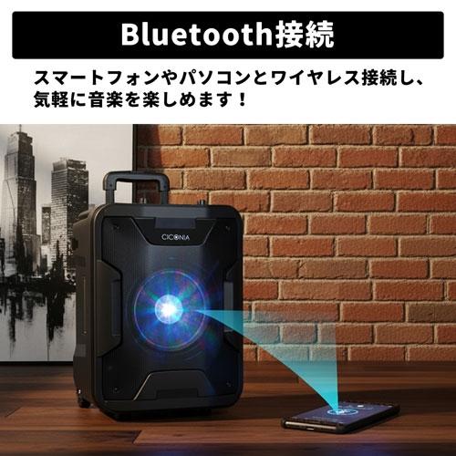 CICONIA ポータブルスピーカー TY-1900 ワイヤレスマイク2本付き Accessories |  | 02