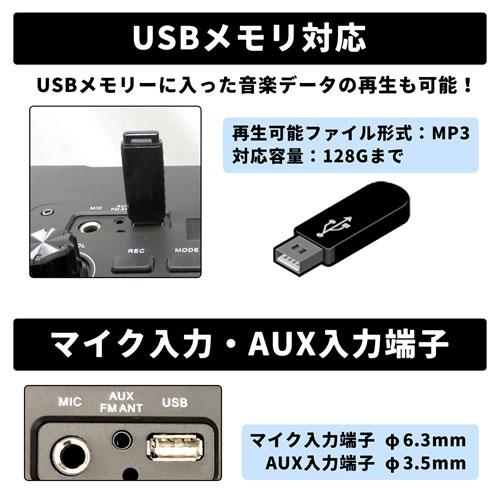 CICONIA ポータブルスピーカー TY-1900 ワイヤレスマイク2本付き Accessories |  | 04