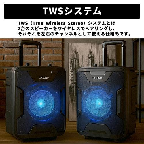 CICONIA ポータブルスピーカー TY-1900 ワイヤレスマイク2本付き Accessories |  | 05