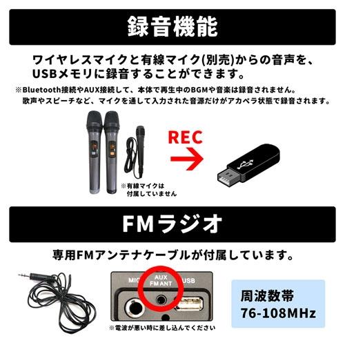 CICONIA ポータブルスピーカー TY-1900 ワイヤレスマイク2本付き Accessories |  | 09