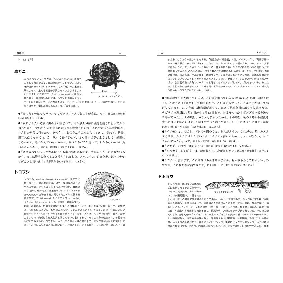 盛口満 琉球動物民俗事典:聞き書き 琉球列島の動物利用 Book |  | 01
