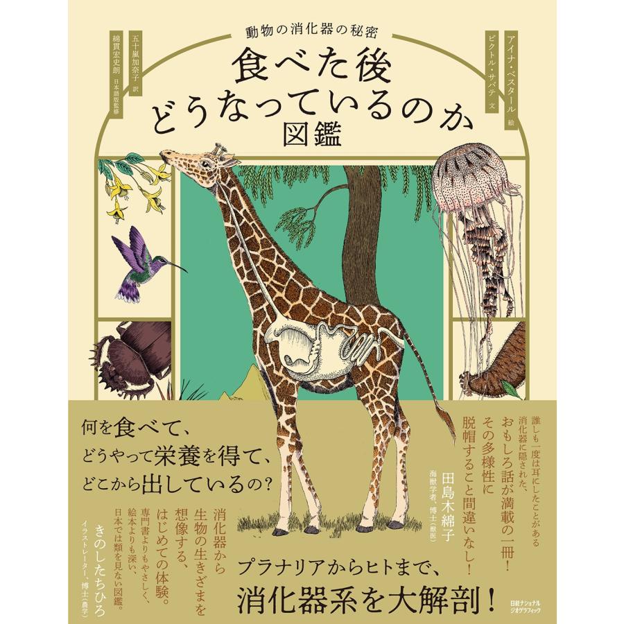 アイナ・べスタール 食べた後どうなっているのか図鑑 動物の消化器の秘密 Book | 