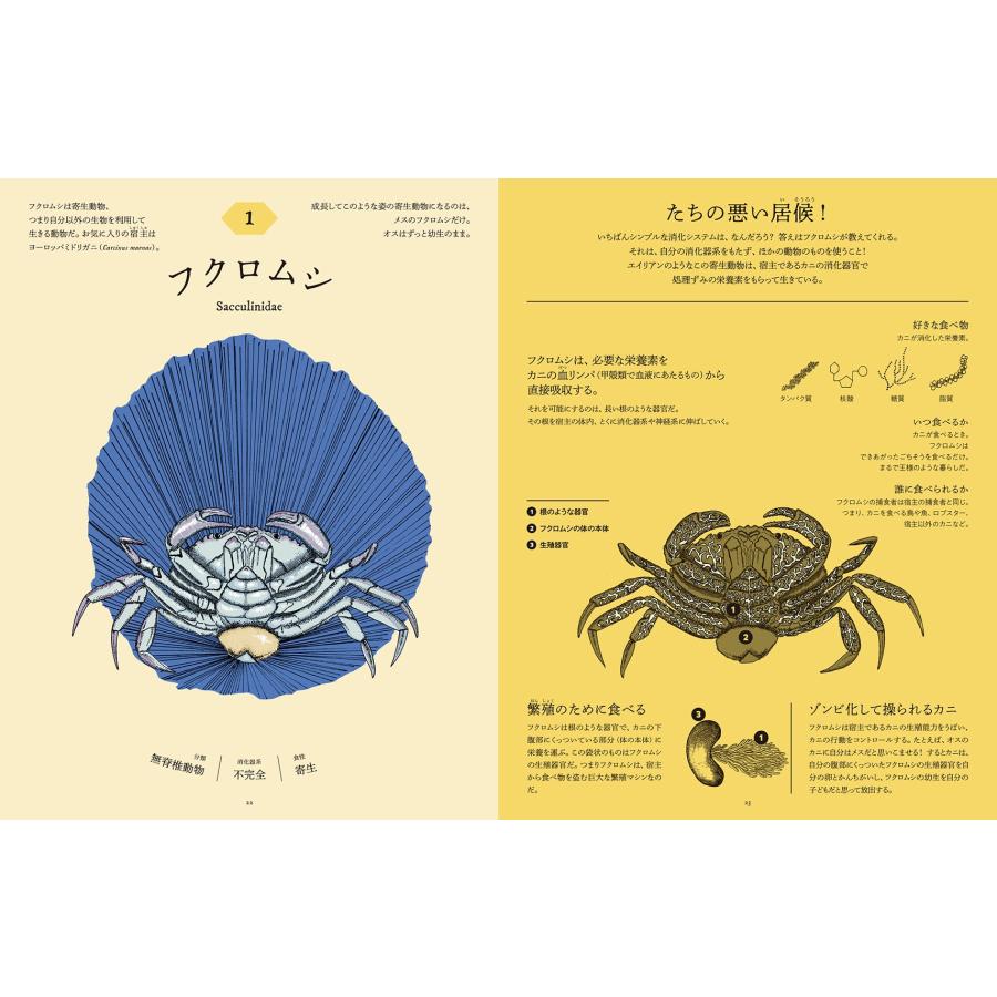 アイナ・べスタール 食べた後どうなっているのか図鑑 動物の消化器の秘密 Book |  | 01