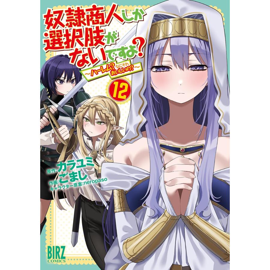 カラユミ 奴隷商人しか選択肢がないですよ? (12) 〜ハーレム?なにそれおいしいの?〜 COMIC | 