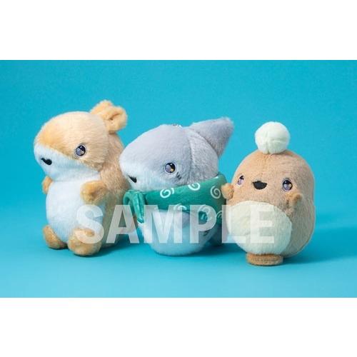 映画 おでかけ子ザメ とかいのおともだち 豪華版＜数量限定豪華版＞ Blu-ray Disc |  | 01