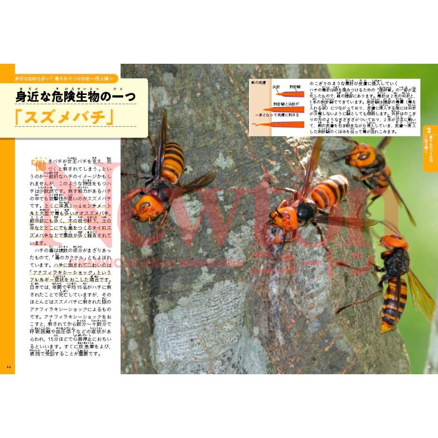 船山信次 超絵解本 毒の科学 身近にひそむ危険 Book |  | 04