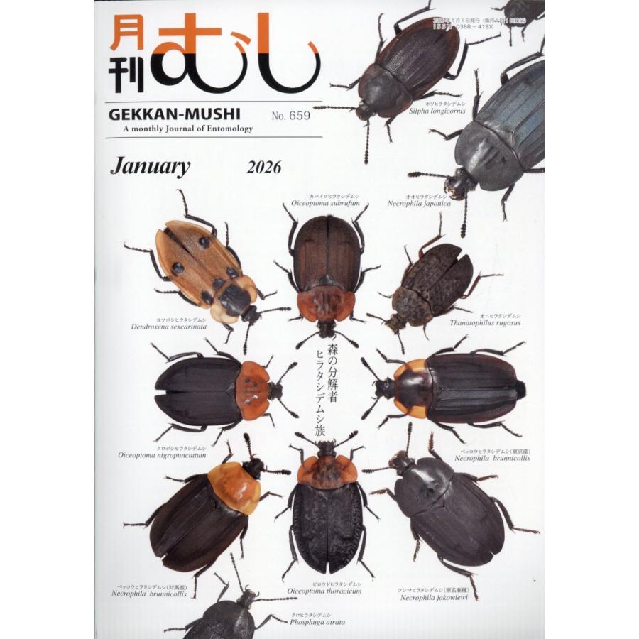 月刊 むし 2026年 01月号 [雑誌] Magazine | 