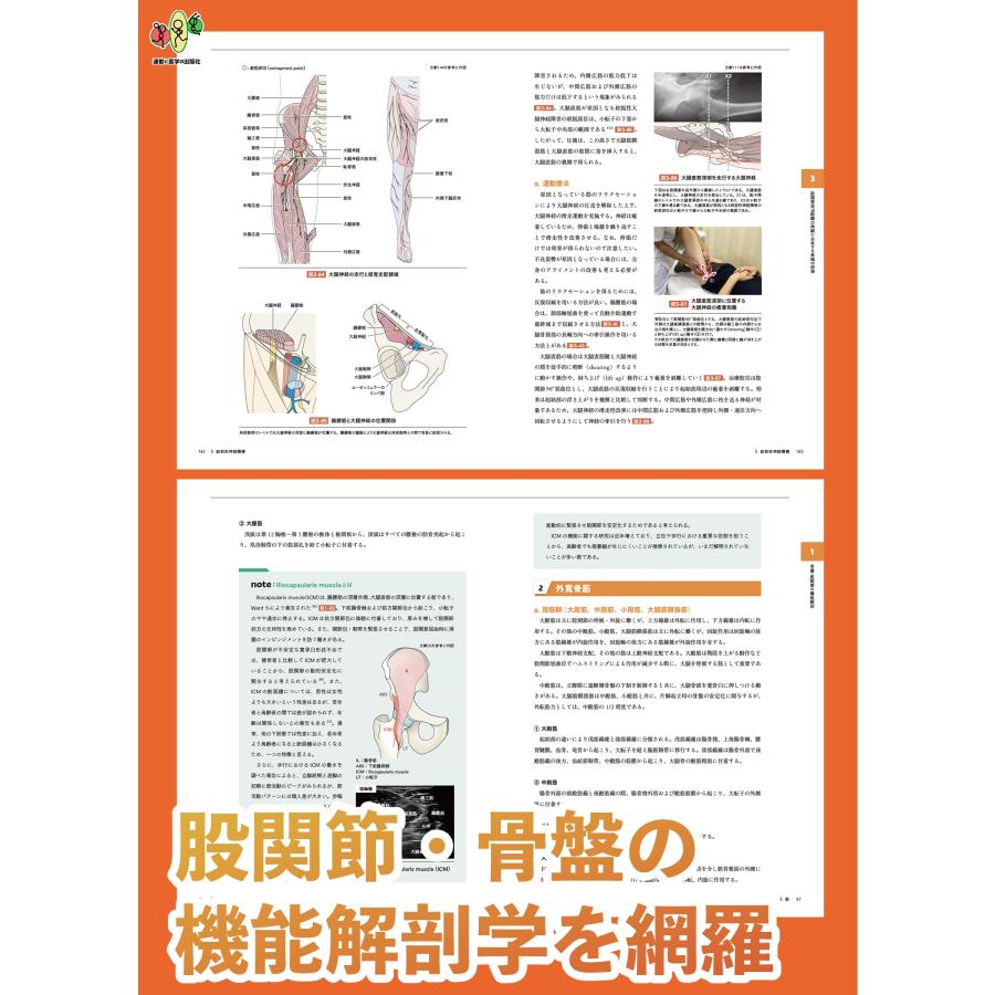 林典雄 股関節拘縮の評価と運動療法 改訂版 Book |  | 04