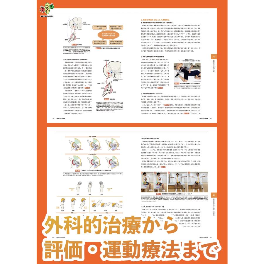 林典雄 股関節拘縮の評価と運動療法 改訂版 Book |  | 05