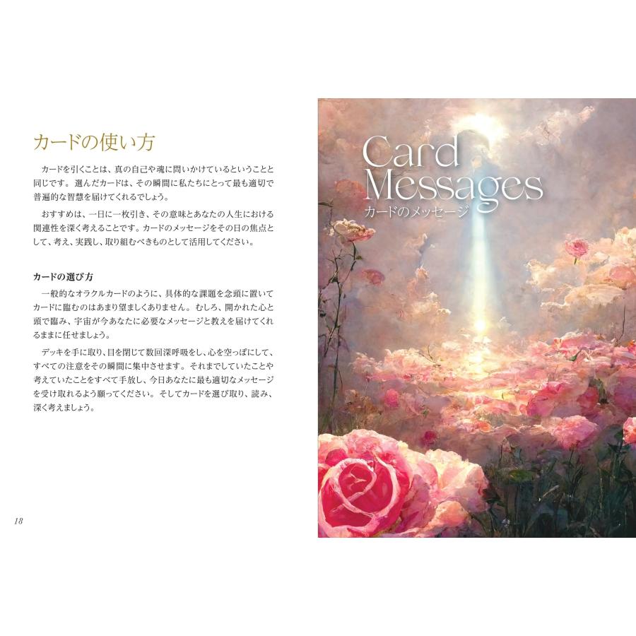 アンソニー・サレルノ パス オブ ライト・オラクル 『バガヴァッド・ギーター』の智慧 Book |  | 03