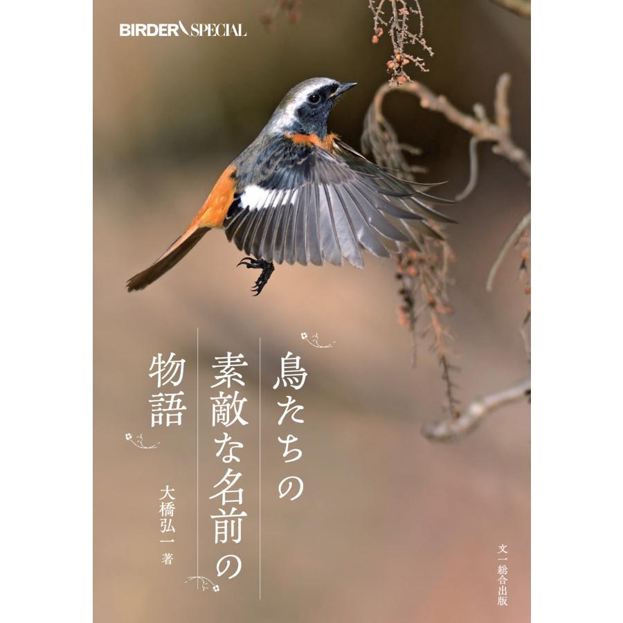 大橋弘一 鳥たちの素敵な名前の物語 Book | 