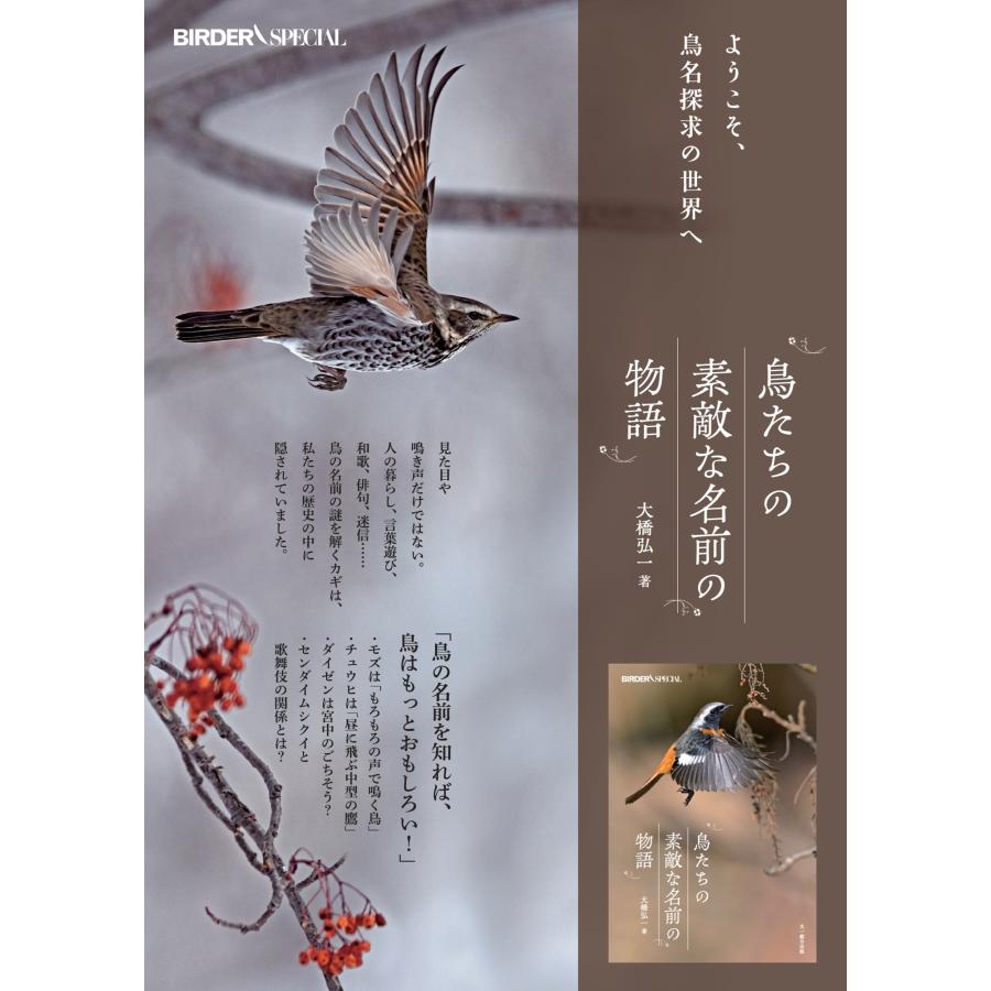 大橋弘一 鳥たちの素敵な名前の物語 Book |  | 01