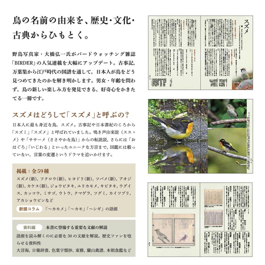 大橋弘一 鳥たちの素敵な名前の物語 Book |  | 02