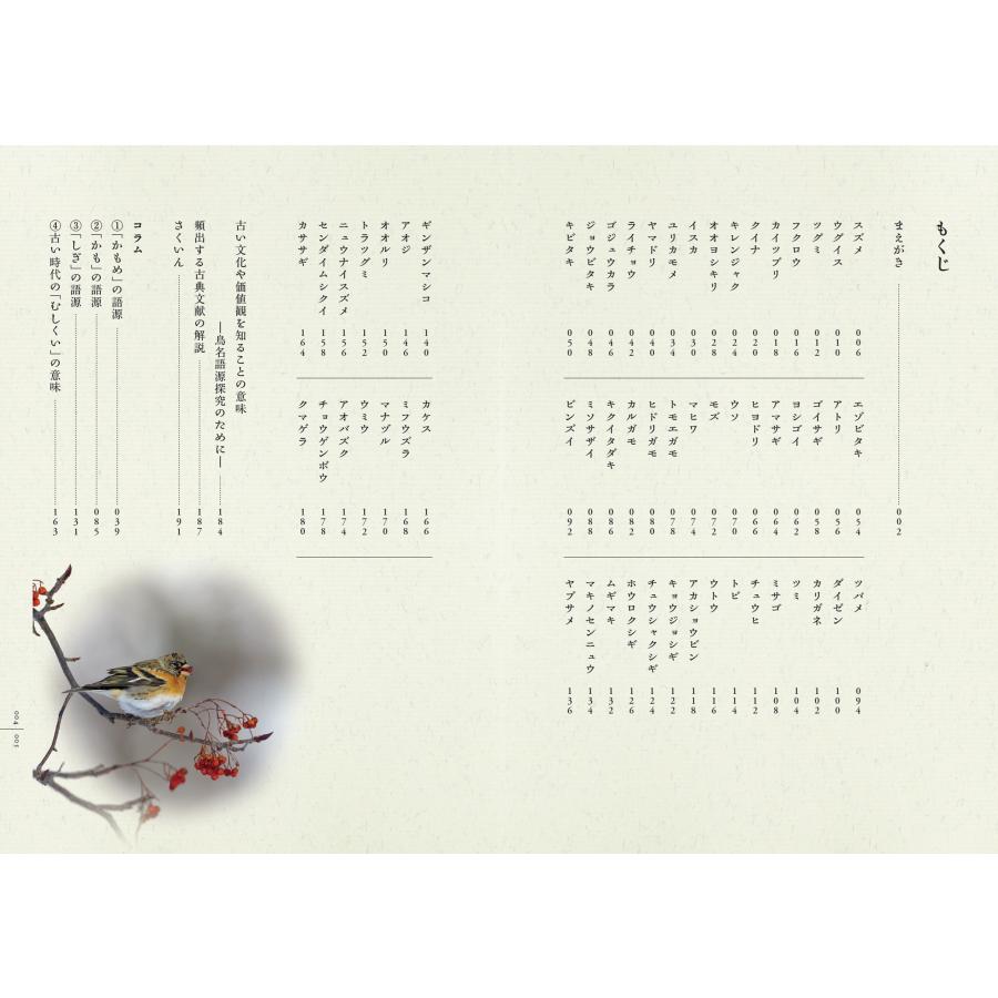 大橋弘一 鳥たちの素敵な名前の物語 Book |  | 03