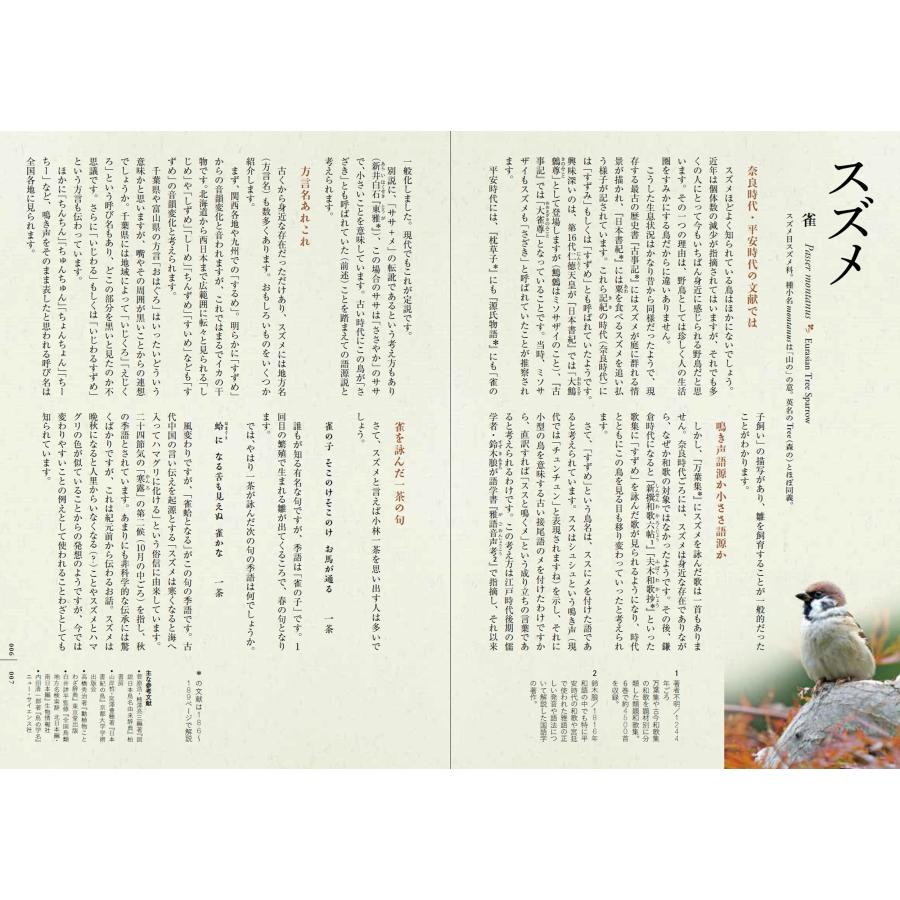 大橋弘一 鳥たちの素敵な名前の物語 Book |  | 04