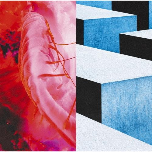 キタニタツヤ かすかなはな＜通常盤＞ 12cmCD Single ※特典あり