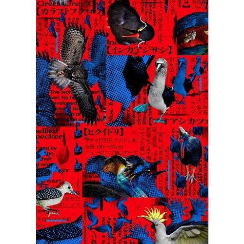 『シナントロープ』Blu-ray Box Blu-ray Disc ※特典あり |  | 01