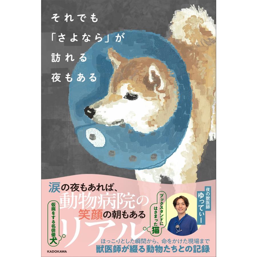 夜の獣医師ゆってぃー それでも「さよなら」が訪れる夜もある Book | 