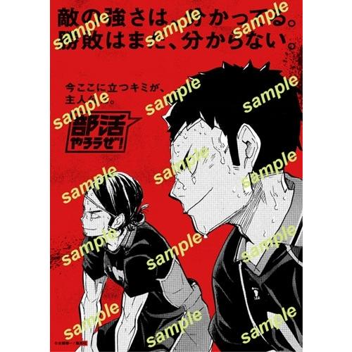 Sportiva 部活特集号 Mook |  | 01