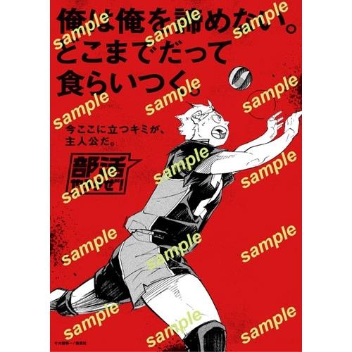 Sportiva 部活特集号 Mook |  | 02