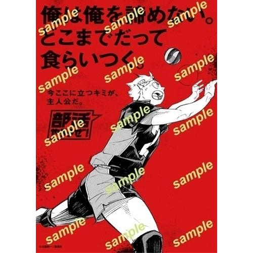 Sportiva 部活特集号 Mook |  | 02