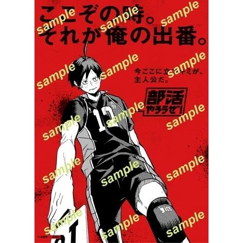 Sportiva 部活特集号 Mook |  | 06