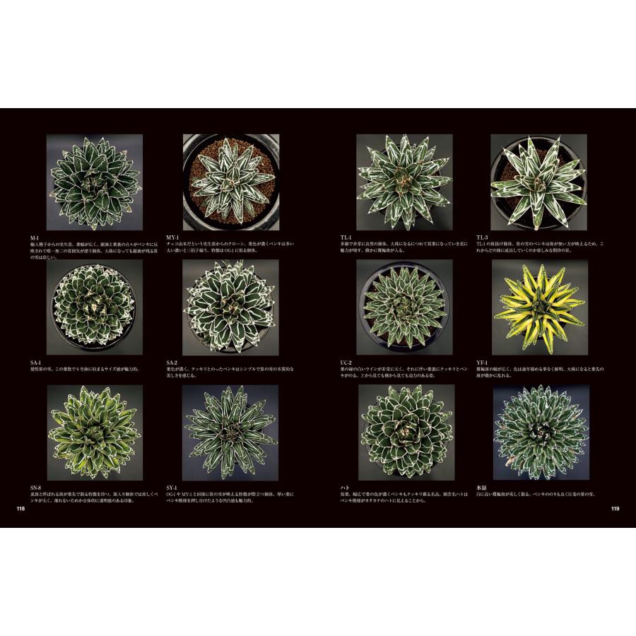Shabomaniac! Agave Complete アガベ原種・名品図鑑 自生地・栽培技法と育種 Book |  | 01