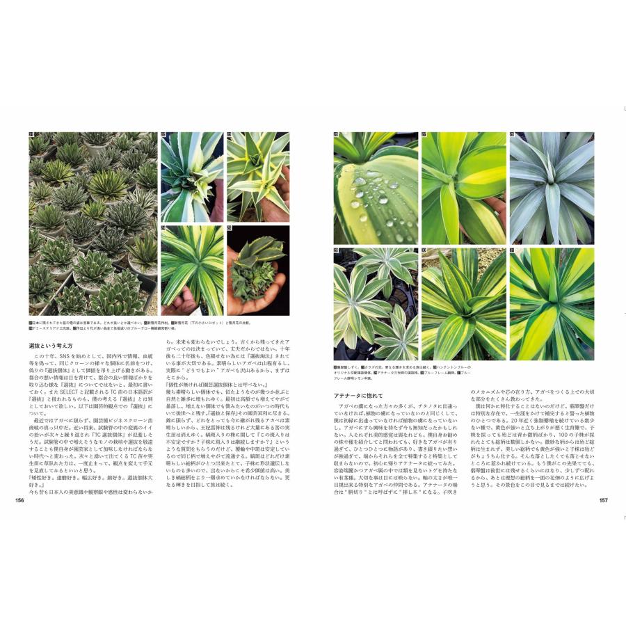 Shabomaniac! Agave Complete アガベ原種・名品図鑑 珍種から最新種まで、アガベの魅力と育て方を丁寧に伝える愛好家必 Book |  | 02