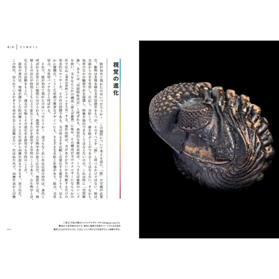 スティーブ・パーカー 動物の視覚はどのように進化したか Book |  | 01